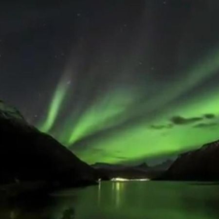 Koselig Leilighet I Narvik Sentrum 5 Soveplasser Gratis Parkering Og Gratis Internett Exterior foto