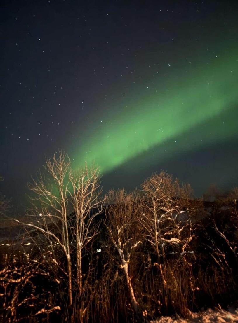 Koselig Leilighet I Narvik Sentrum 5 Soveplasser Gratis Parkering Og Gratis Internett Exterior foto