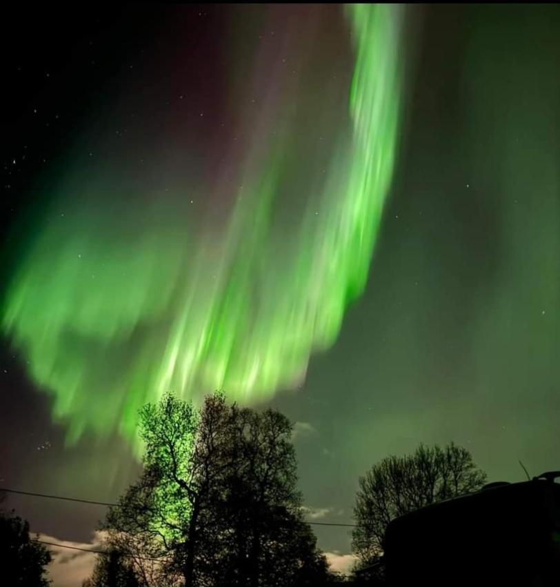 Koselig Leilighet I Narvik Sentrum 5 Soveplasser Gratis Parkering Og Gratis Internett Exterior foto