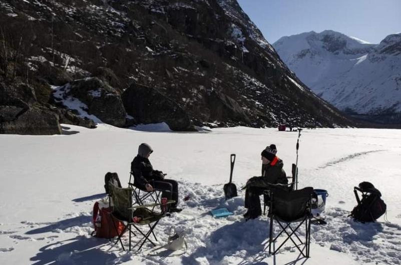 Koselig Leilighet I Narvik Sentrum 5 Soveplasser Gratis Parkering Og Gratis Internett Exterior foto