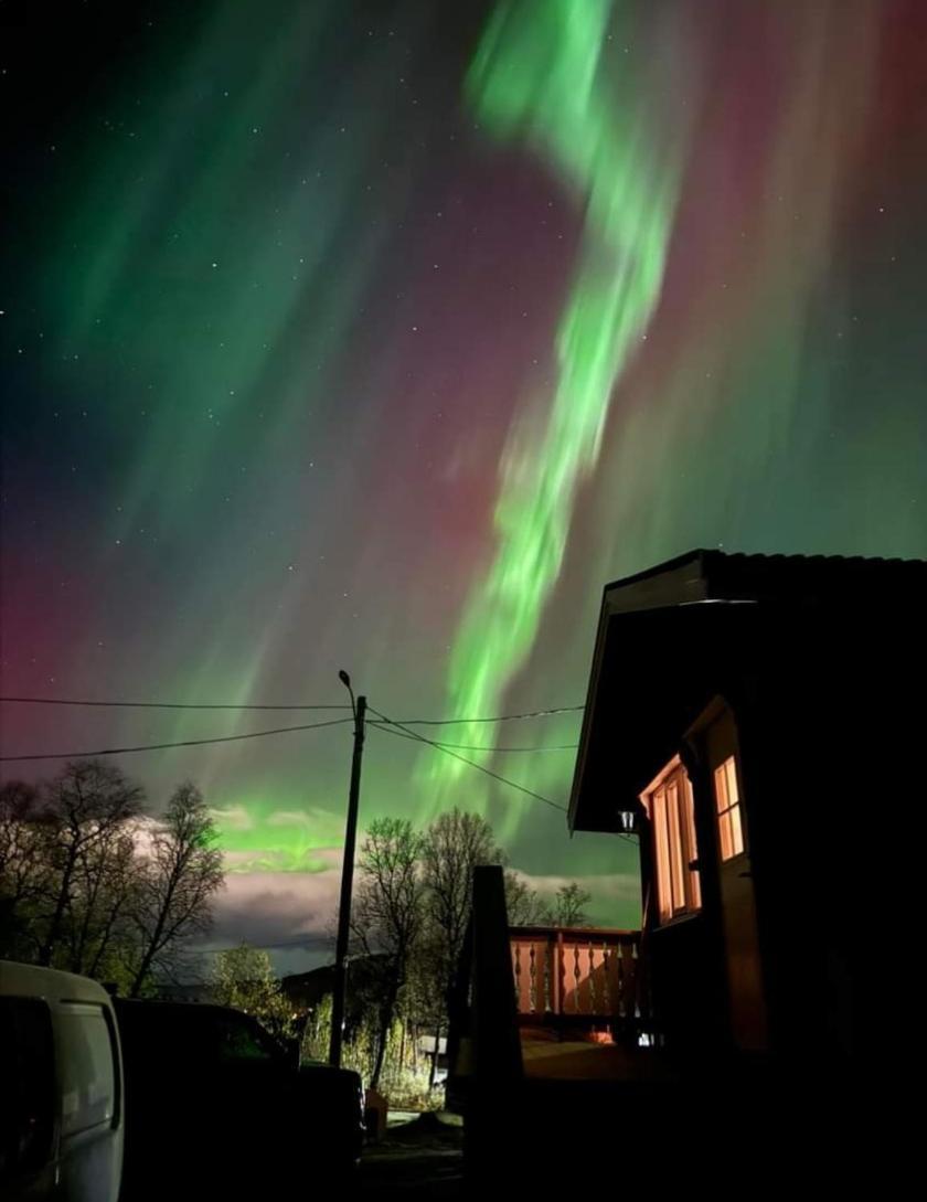 Koselig Leilighet I Narvik Sentrum 5 Soveplasser Gratis Parkering Og Gratis Internett Exterior foto
